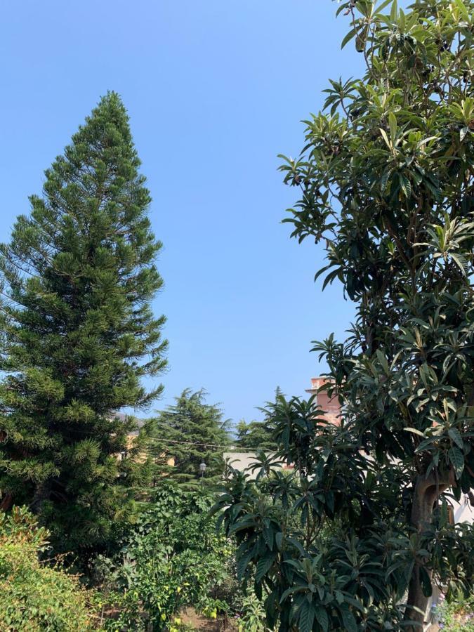 Casa Diana Arianna Apartment ลีปารี ภายนอก รูปภาพ