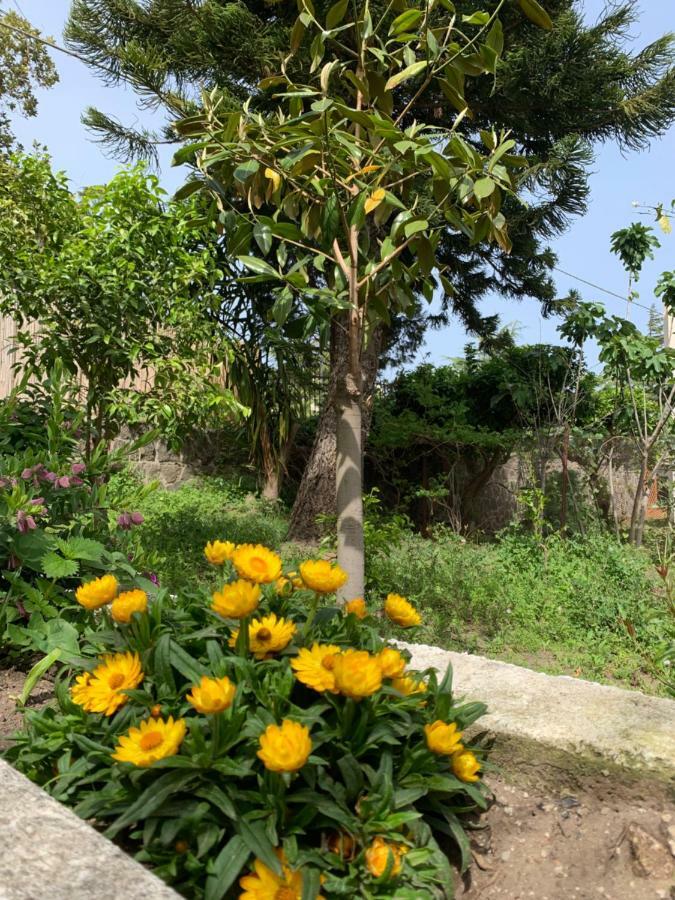 Casa Diana Arianna Apartment ลีปารี ภายนอก รูปภาพ